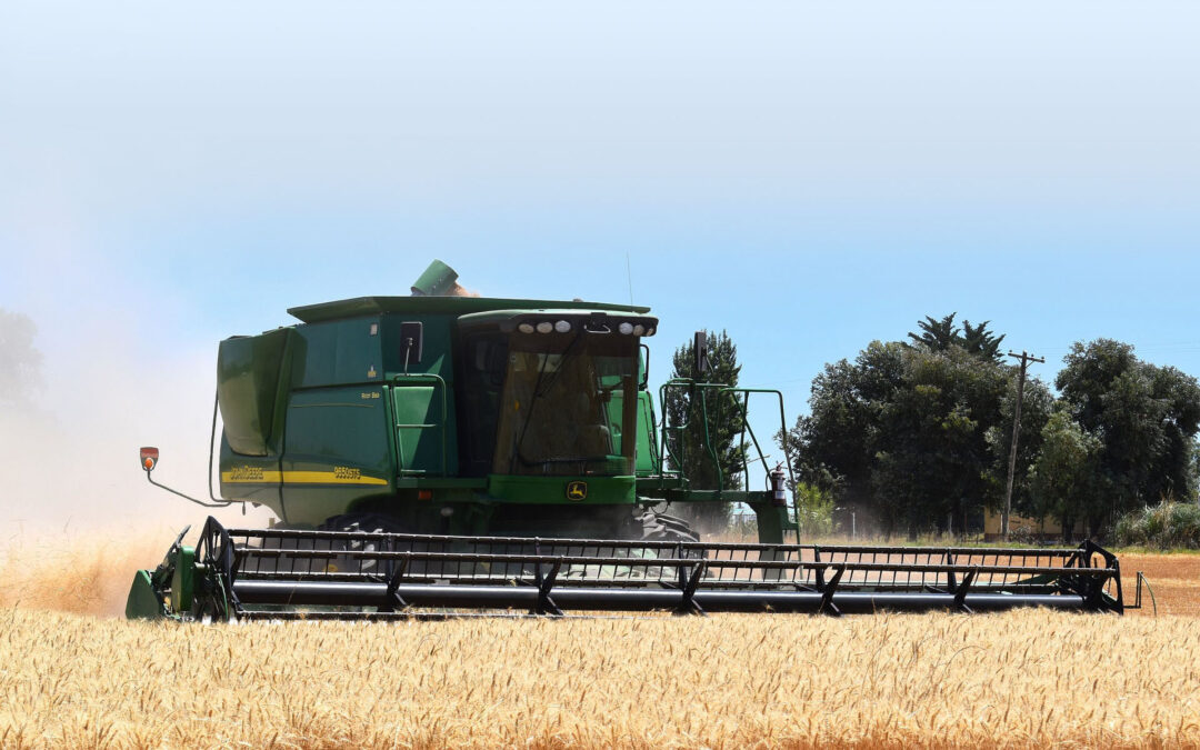 Planning for harvest