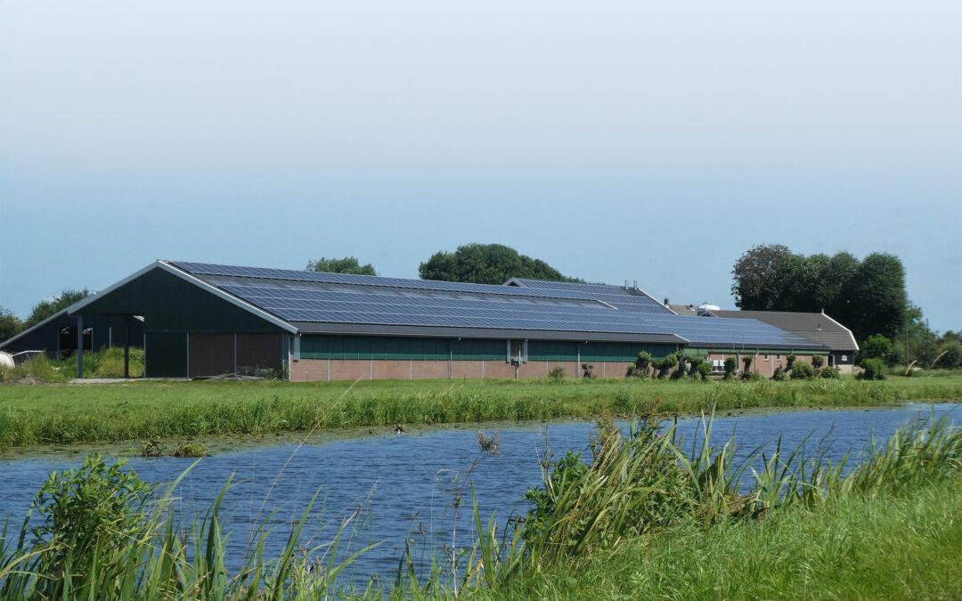 New solar install now complete